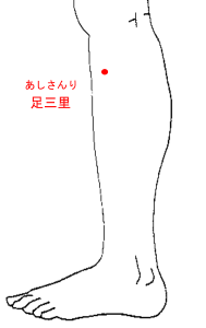 足三里の図