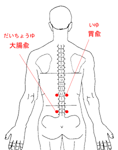 胃兪・大腸兪の図