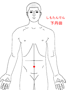 下丹田の図